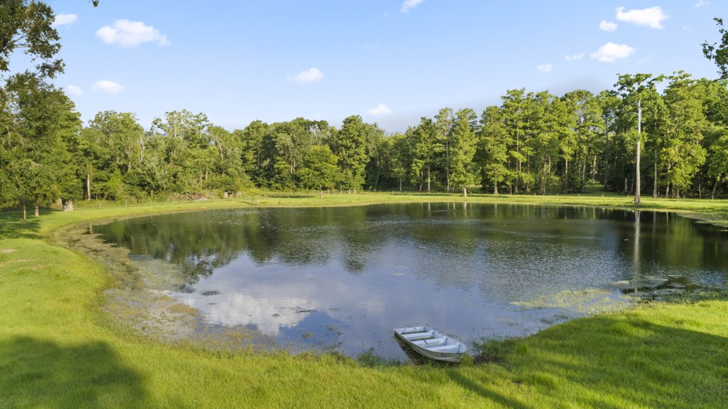luxury dream home ponds, cattle fences