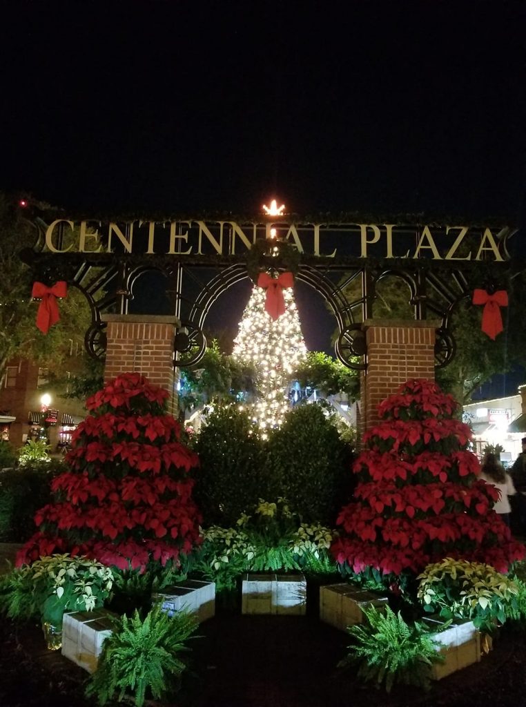 Things To Do in Winter Garden this Holiday Season Erica Diaz Team