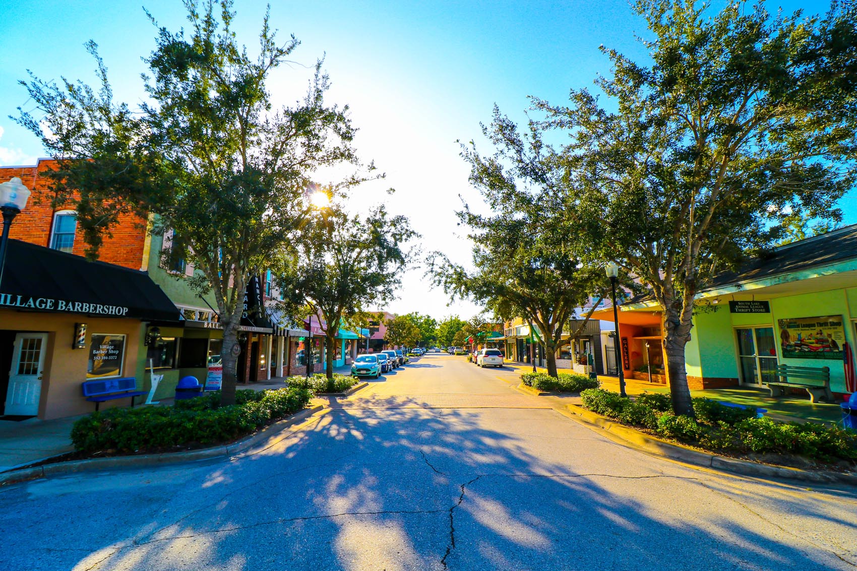 The Erica Diaz Team Winter Garden Realtor Real Estate Agent