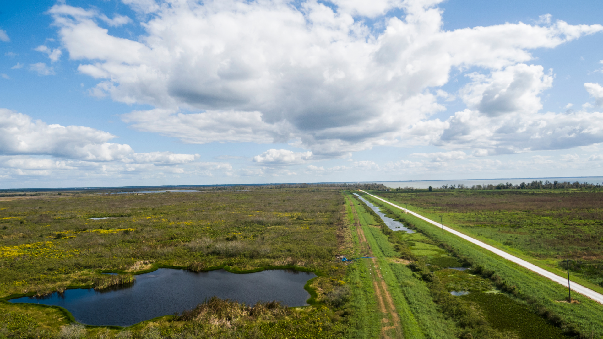 Lake Apopka Wildlife Drive