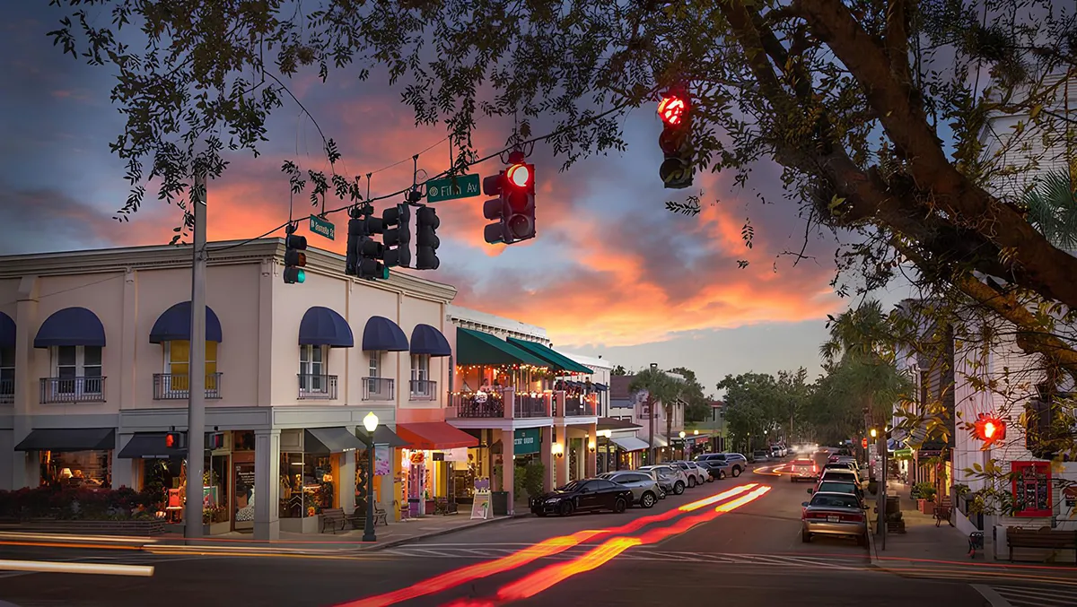 Mount Dora Florida Realtor