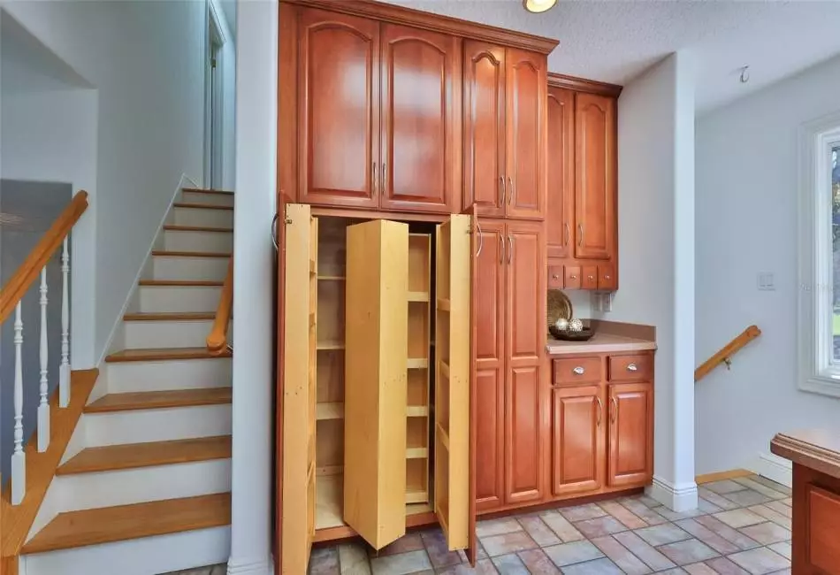 Huge Pullout Pantry
