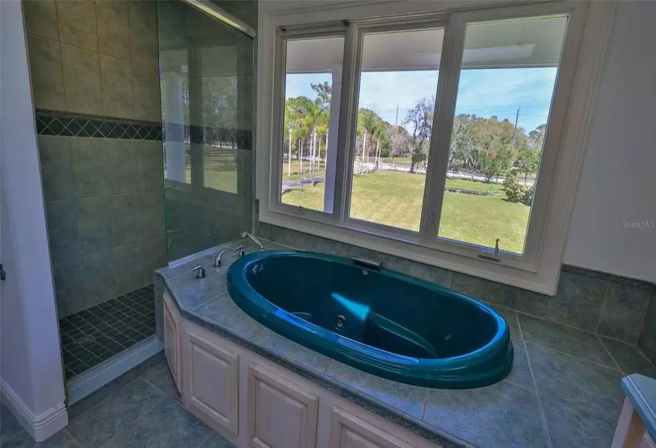 view from Master Tub