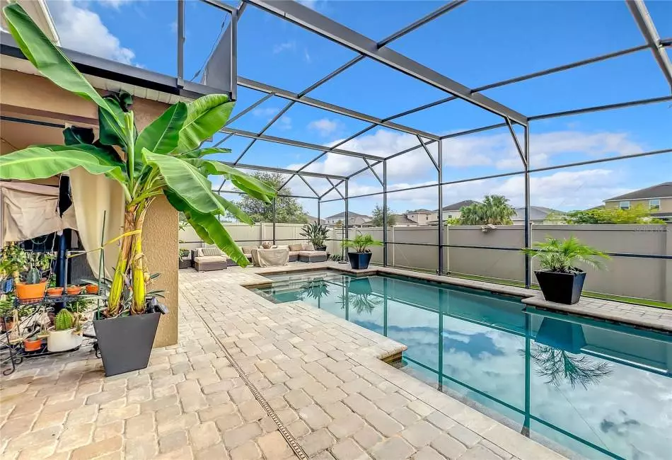 Screened in Pool w/ Brick Pavers