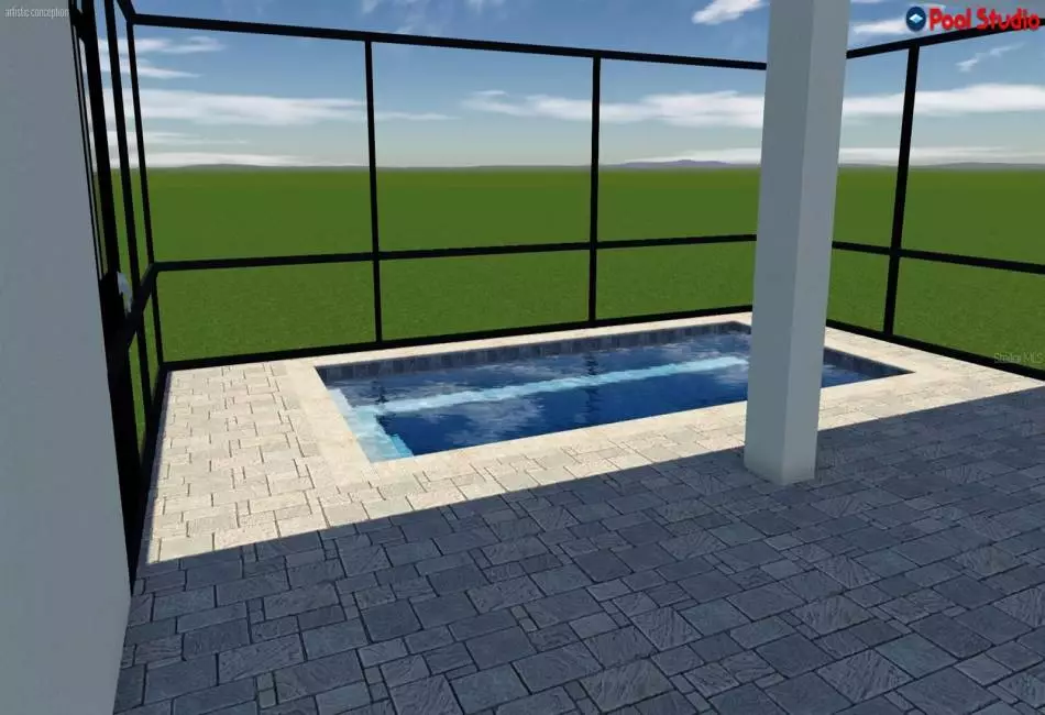 Pool rendering (this is not approved by HOA)