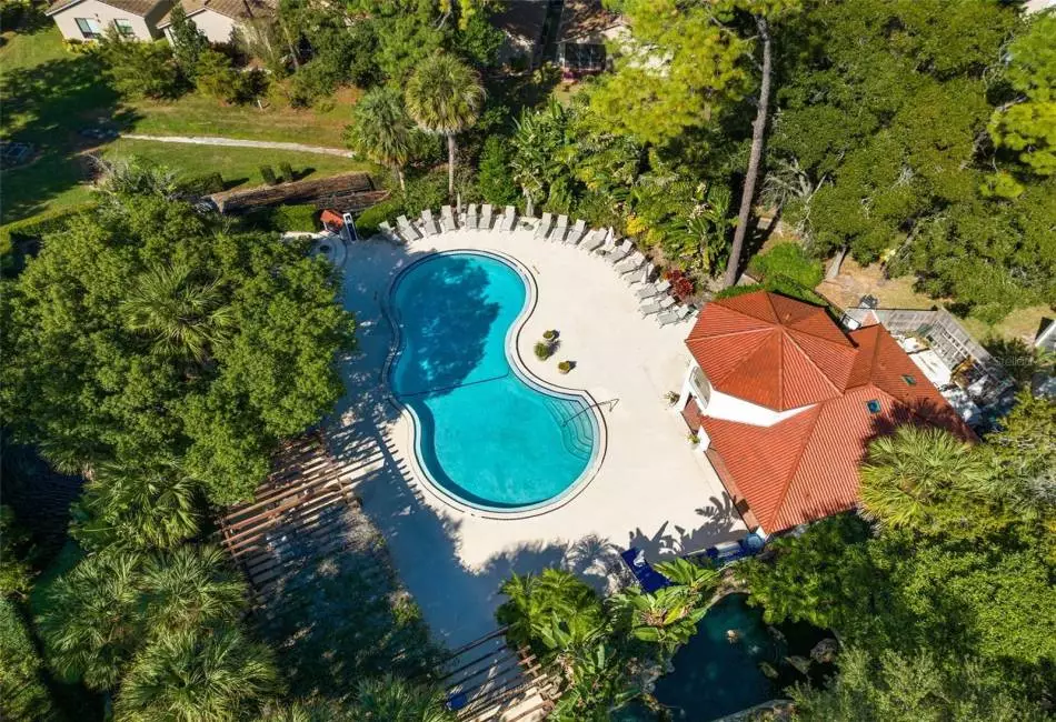 Resort Like pool