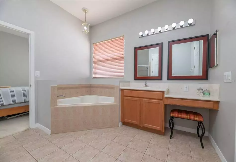 Main Bath Area with Vanity and Single Sink