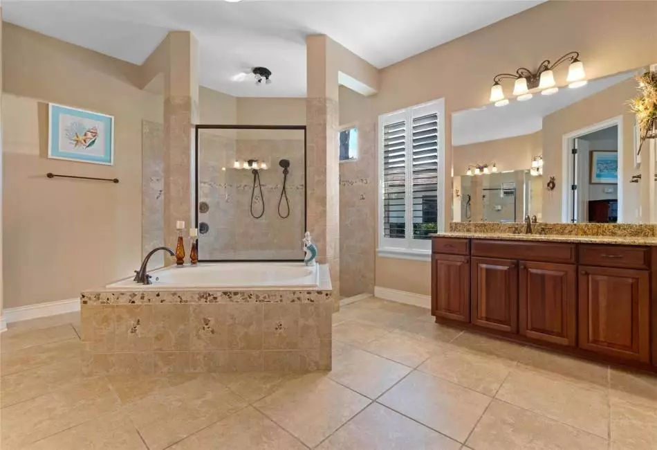 Which do you prefer? The Tub or the Magnificent Walk-Through Shower???
