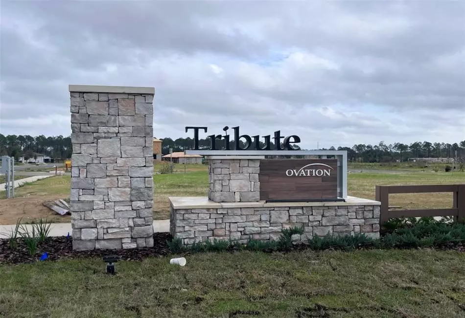 15230 TRIBUTE AT OVATION WAY, 3 Bedrooms Bedrooms, ,2 BathroomsBathrooms,Residential,For Sale,TRIBUTE AT OVATION,MFRO6172617