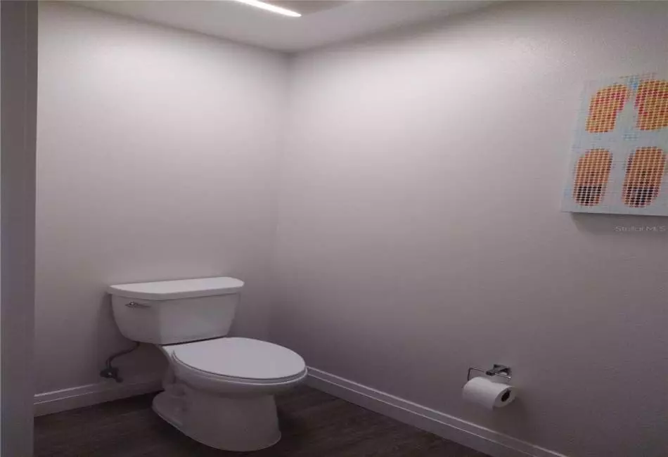 Main bathroom: Toilet