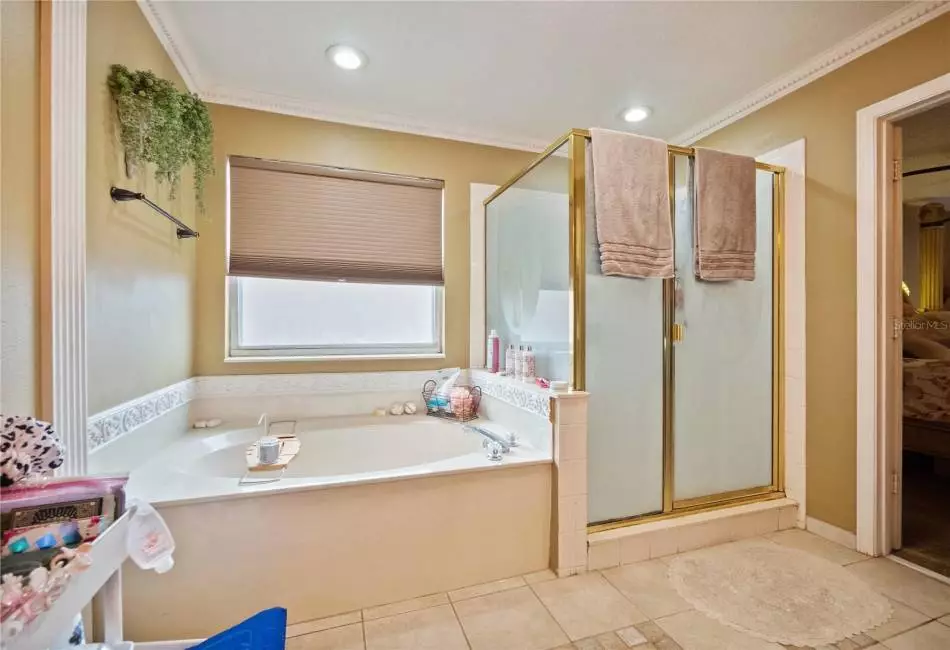 Master bathroom showcasing garden bathtub and walk in shower