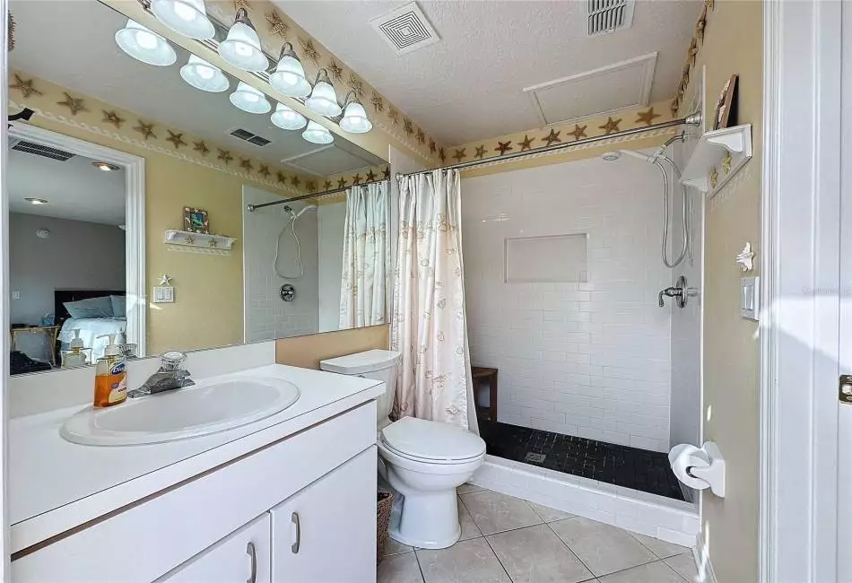 In Law suite bathroom with walk in shower