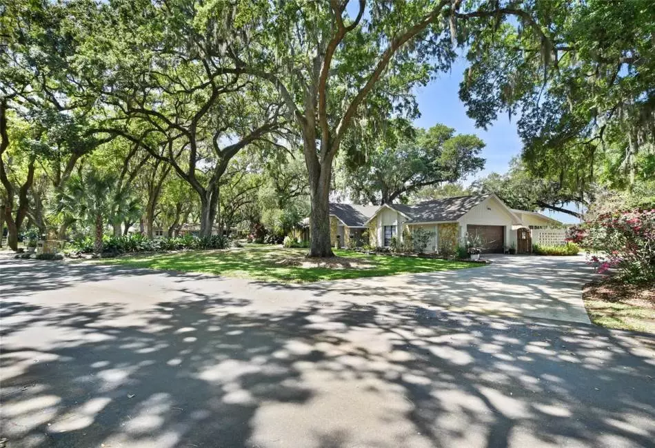 Mature Trees surround the community