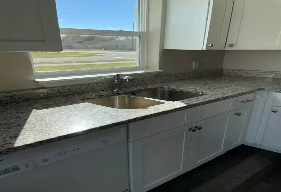 Kitchen sink with south facing window
