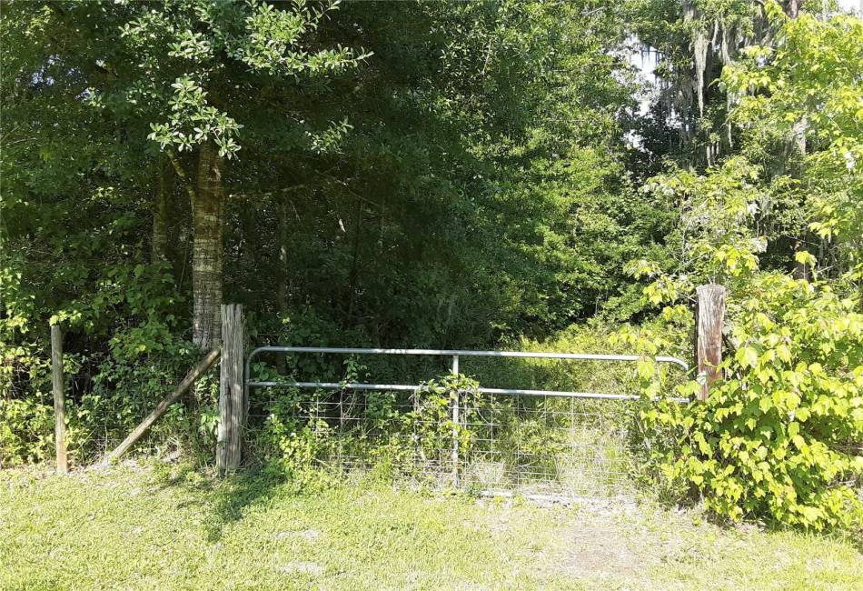 gate at back property