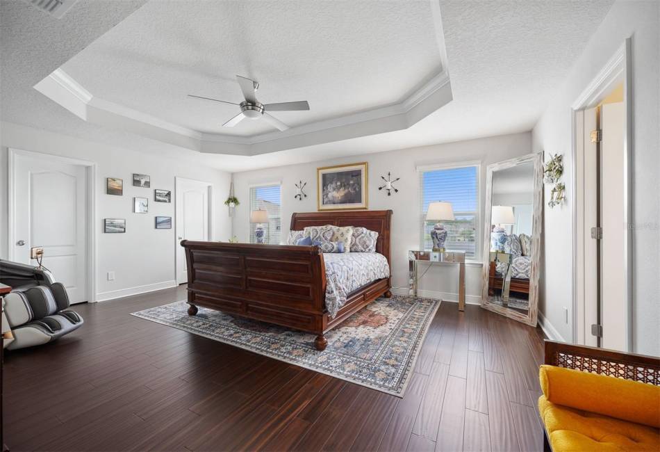 Master bedroom. Beautiful tray ceiling. Lots of natural light. His and Hers walk in closets.