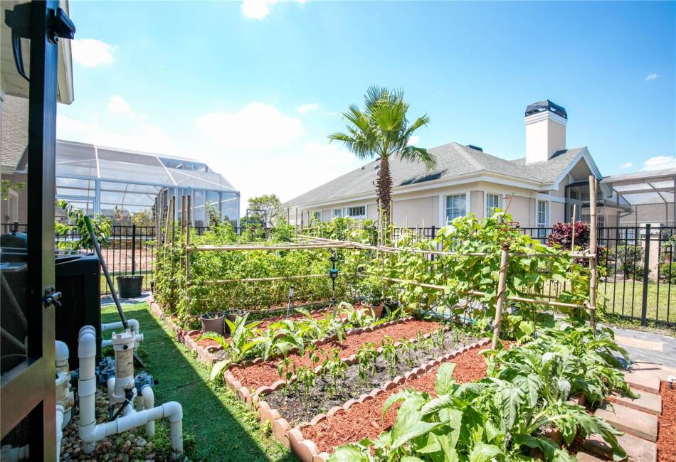 Garden and fruit trees