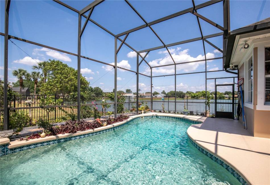 Pool w Lake View