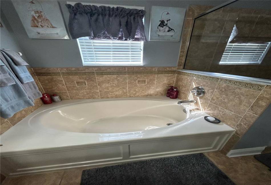 Master bathroom tub